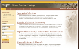 Screenshot of African American Heritage database