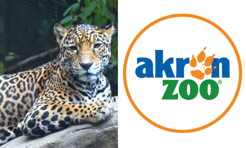 Akron Zoo