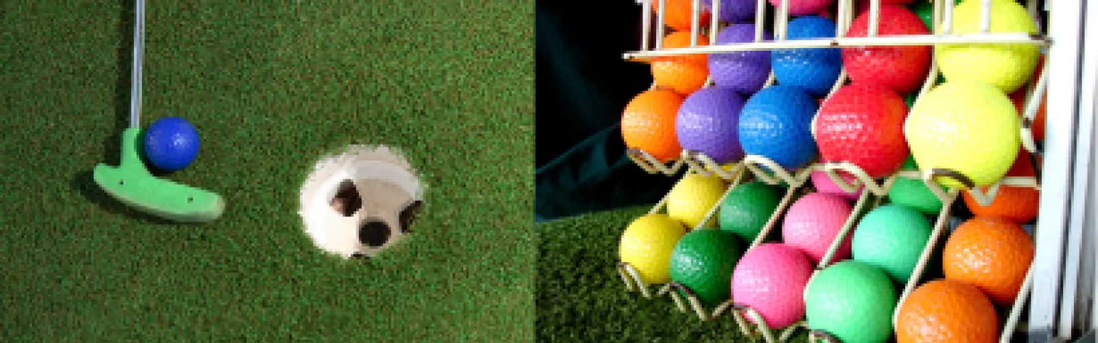 Putter and golf balls